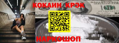 шишки Дубна