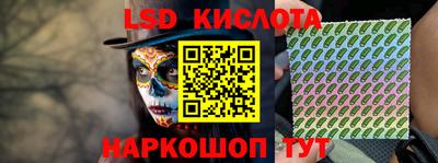шишки Дубна