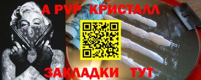 шишки Дубна