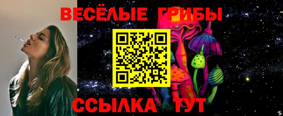 Магадан  Галлюциногенные грибы Psilocybine cubensis  Вход с VPN 